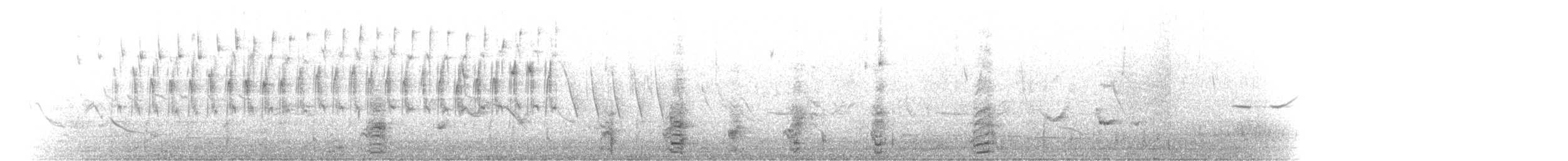 Andean Teal - ML398000891