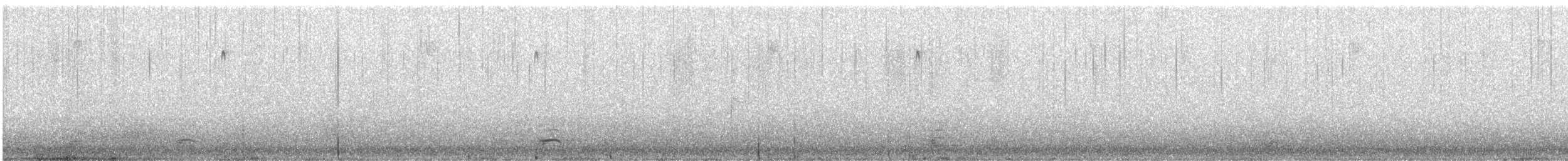 Brown Creeper - ML398178611