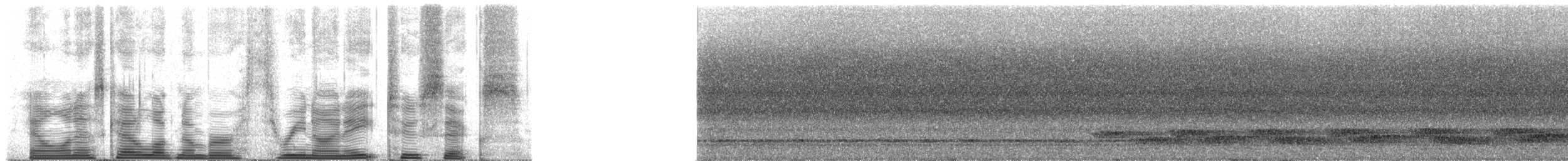 Kestane Kolyeli Dağ Kekliği - ML39826