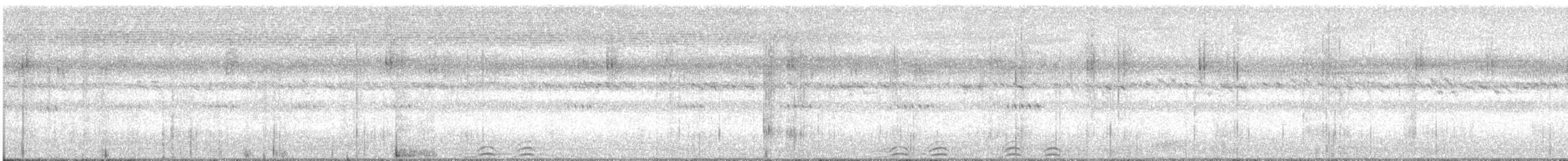 Сова-голконіг плямиста - ML398276181