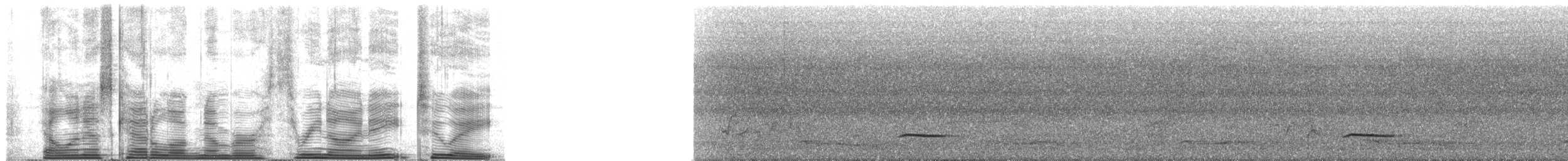 Kestane Kolyeli Dağ Kekliği - ML39828