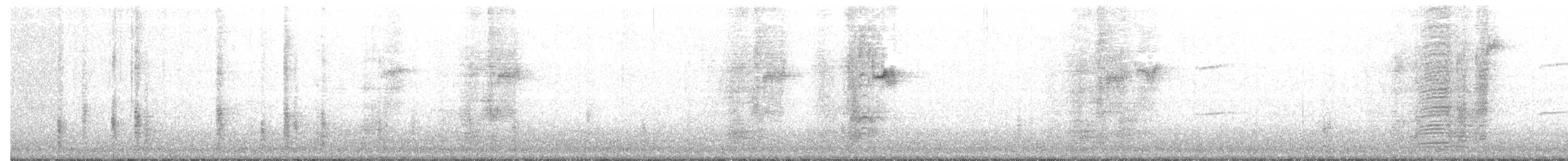 Common Grackle - ML39828001