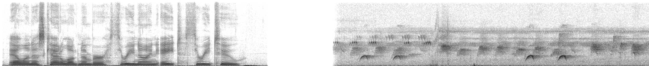 Western Hooded Pitta (Chestnut-crowned) - ML39832