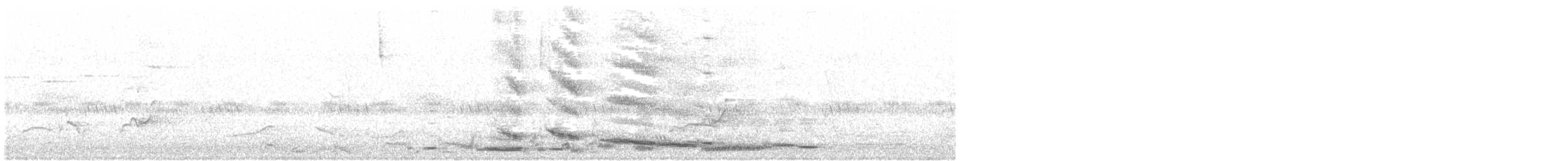 Australian Magpie - ML398391141