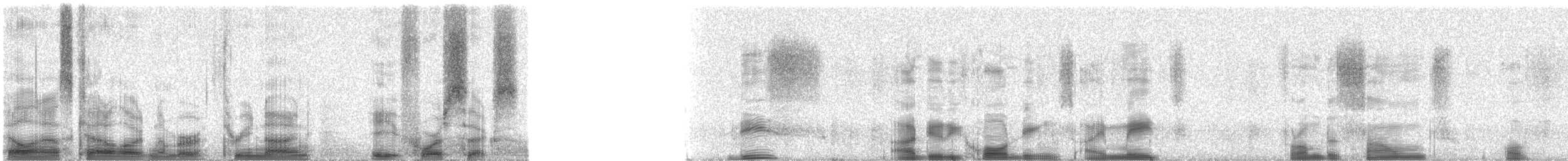 White-nest Swiftlet (White-nest) - ML39846