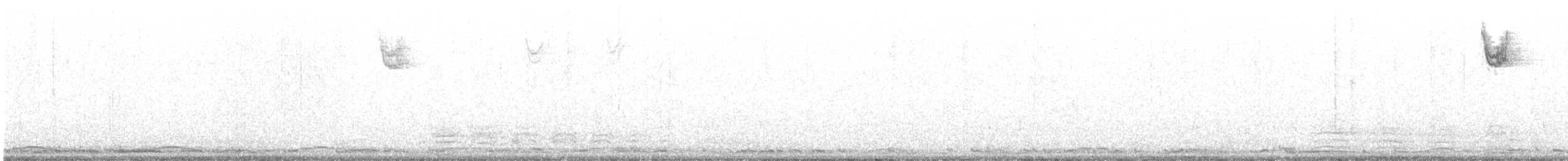 Cisne Chico (neártico) - ML398470981