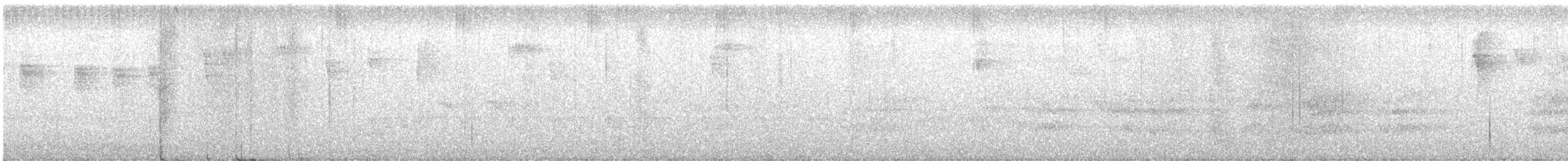 Schwartz Karıncaardıcı - ML398484011