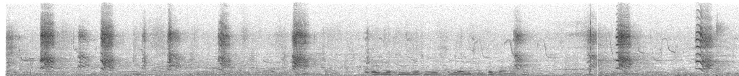 Eurasian Jackdaw - ML398498761