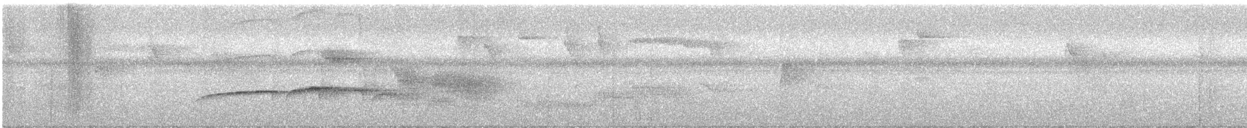 Grauschopf-Ameisenvogel - ML398500681