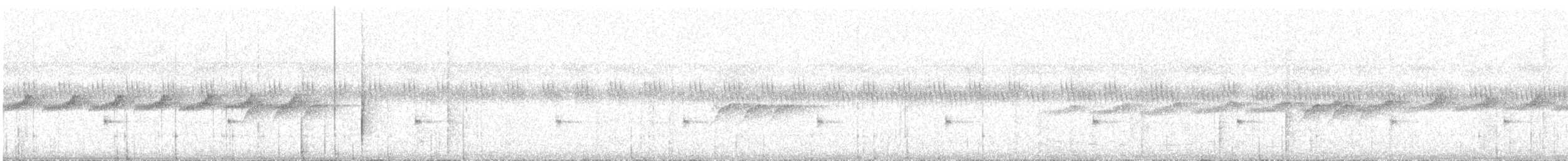 Gray-bellied Antbird - ML398508441