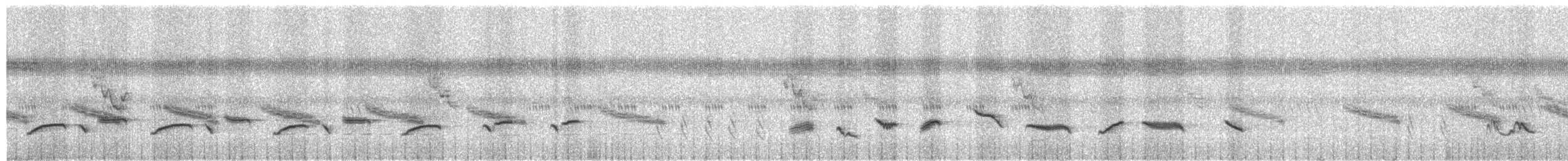 大陸畫眉/臺灣畫眉 - ML398528171