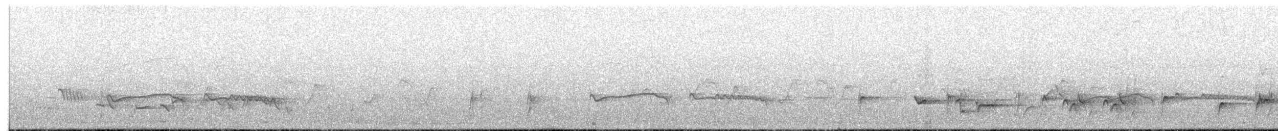 Höhennachtschwalbe [ruwenzorii-Gruppe] - ML398532191