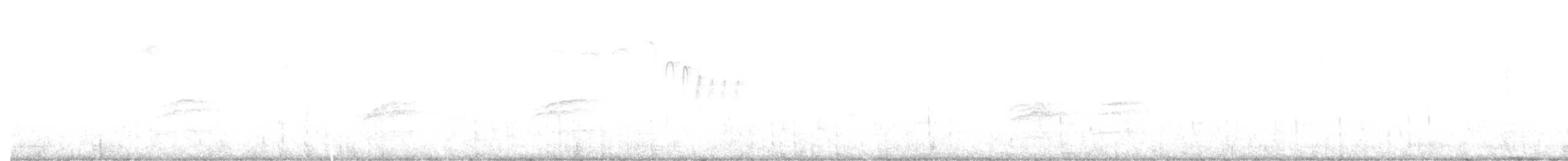 チャイロコツグミ - ML398585121