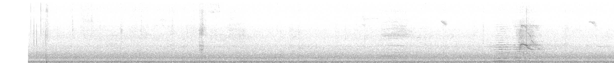 Eurasian Wigeon - ML398588591