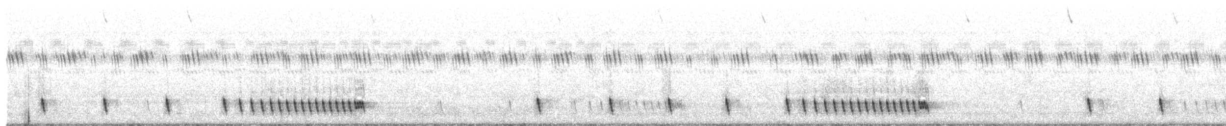 Indiennachtschwalbe - ML39864311