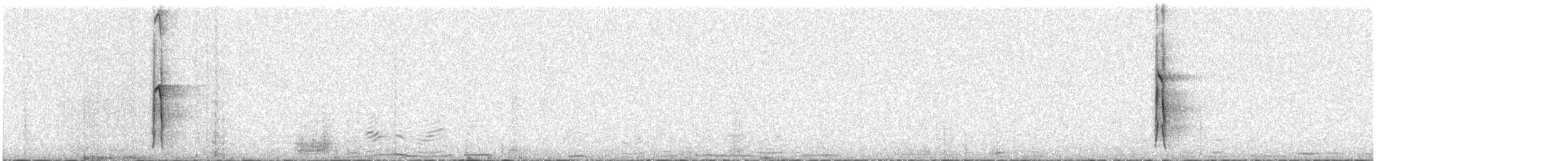 indianerspett (villosus gr.) - ML398709561