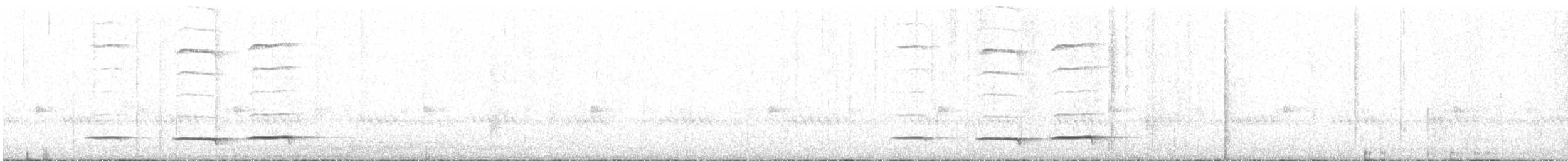 Grallaire de Przewalski - ML398717001