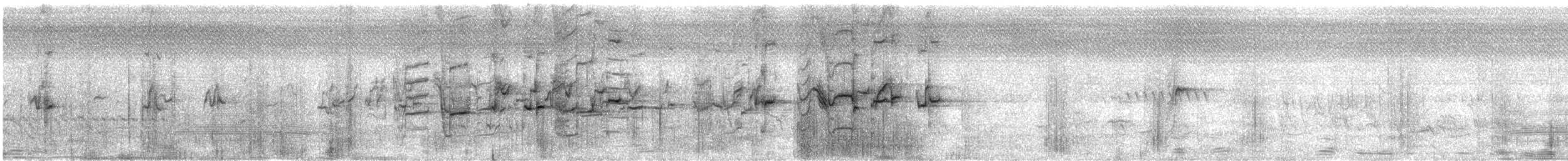 Meyer's Parrot - ML398738331