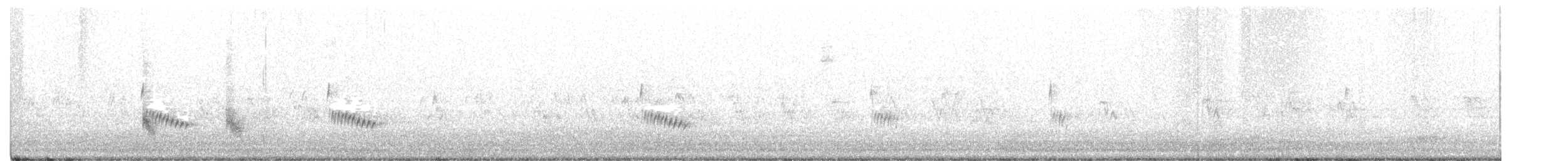 Поплітник каролінський - ML398743961