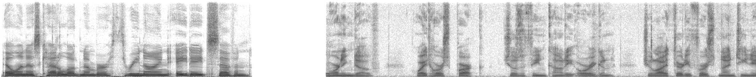 Mourning Dove - ML39887