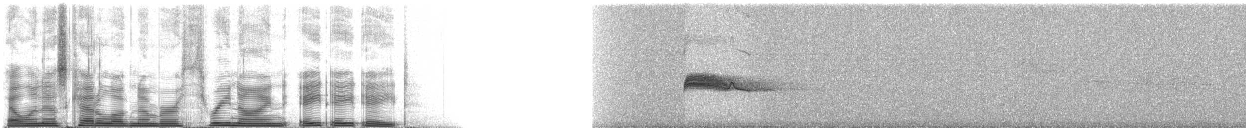 Western Wood-Pewee - ML39888