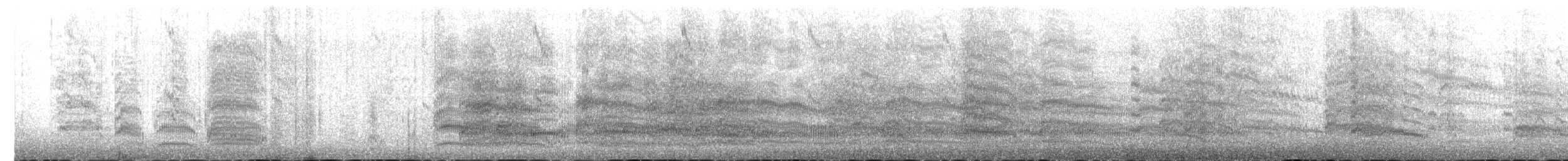 Mouette argentée (scopulinus) - ML398946181