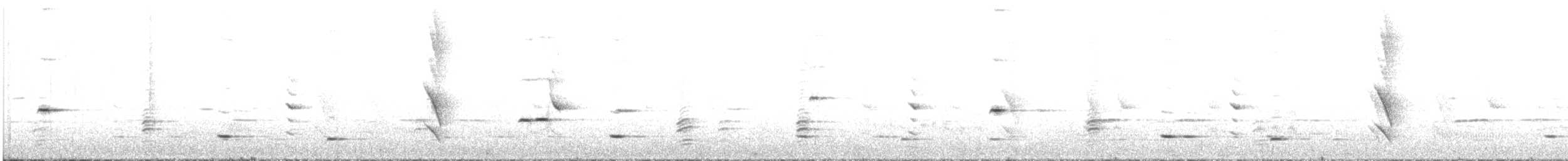 Méliphage carillonneur - ML398948371
