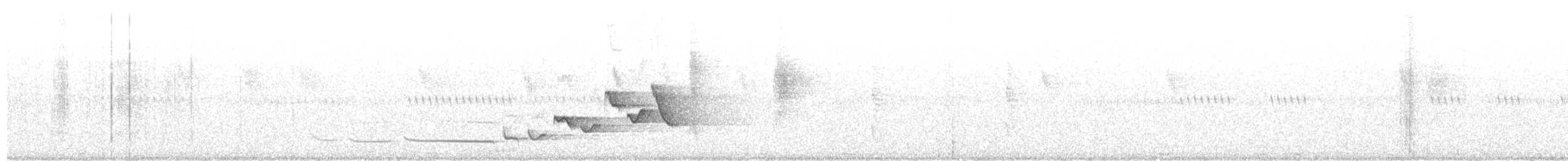 Лусонская широкохвостка - ML398981761