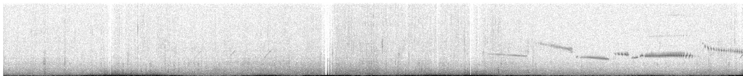 Cisticole paresseuse - ML398992581
