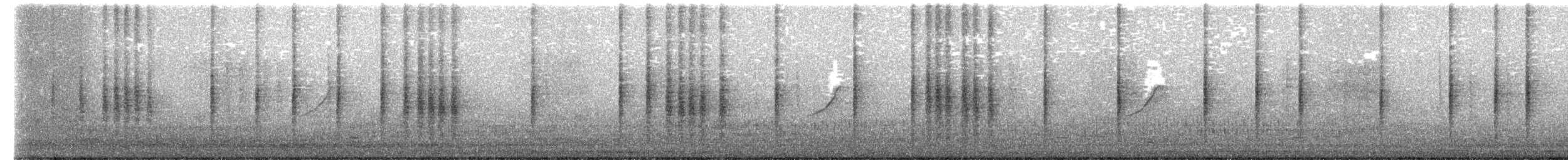 Eastern Orphean Warbler - ML399032071