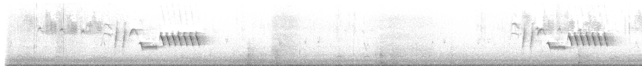 Bewick Çıtkuşu - ML399103011