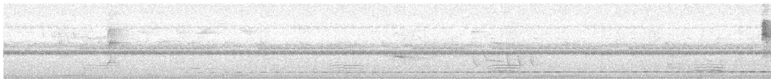 Streifenbrust-Ameisendrossel - ML399127521