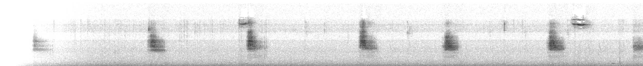 Grass Wren (Northern) - ML399132211