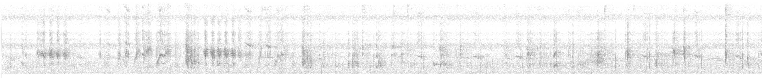 Колібрі-шаблекрил юкатанський (підвид excellens) - ML399164621