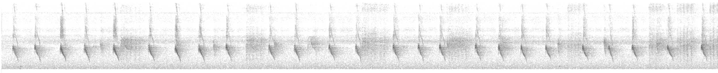 Колібрі-шаблекрил юкатанський (підвид excellens) - ML399165651