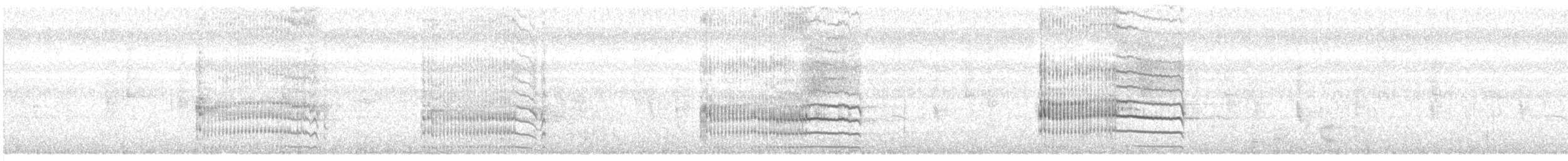 Starkschnabel-Maskentyrann [mexicanus-Gruppe] - ML399172331