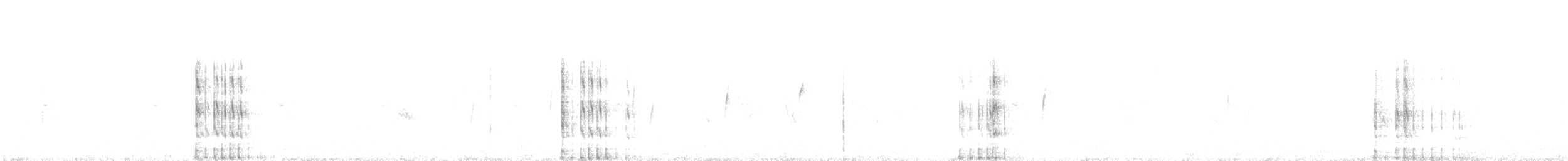 Gallineta de Tasmania - ML399241991