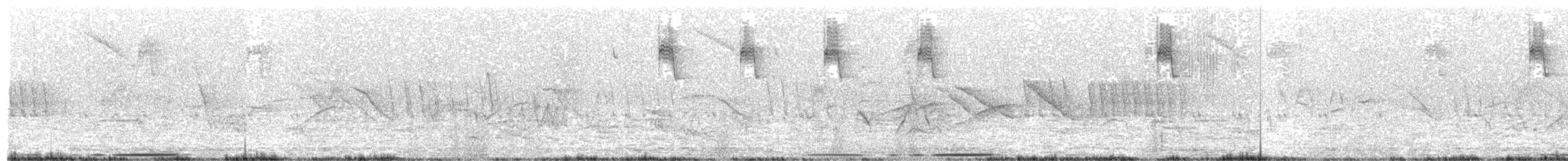 Large-tailed Dove - ML399248101