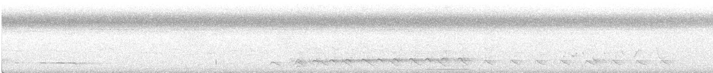 シラオラケットカワセミ - ML399274361