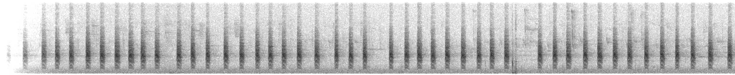 Troglodyte familier (groupe brunneicollis) - ML399297721