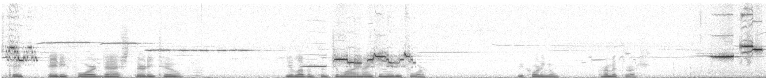 Дрізд-короткодзьоб плямистоволий - ML39930441