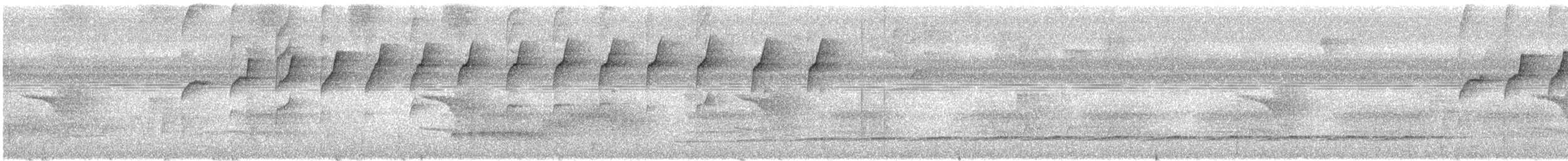 Spectacled Bristle-Tyrant - ML399658581