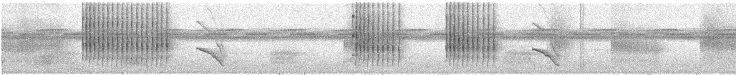 Spot-backed Antbird - ML399659101
