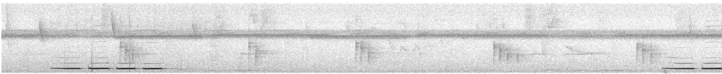 Thrush-like Antpitta - ML399659991