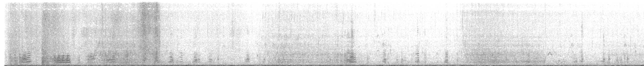 黑雁(nigricans) - ML399879751
