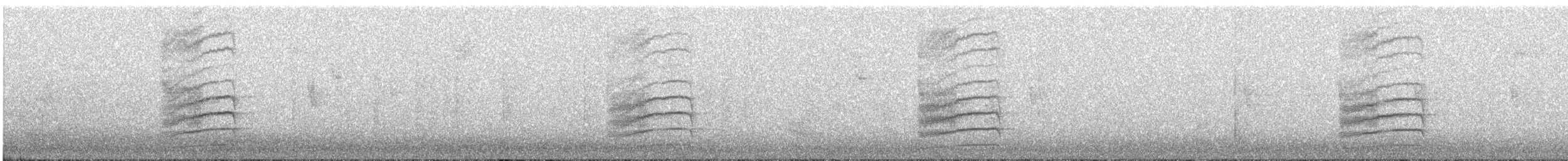 Tohi tacheté - ML399962821