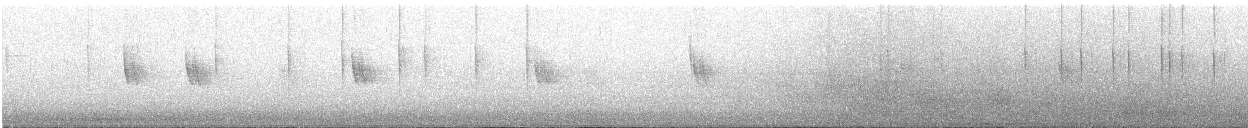 Colibri d'Anna - ML399962921
