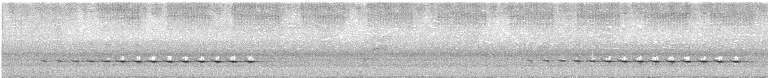 Spotted Quail-thrush - ML399977031