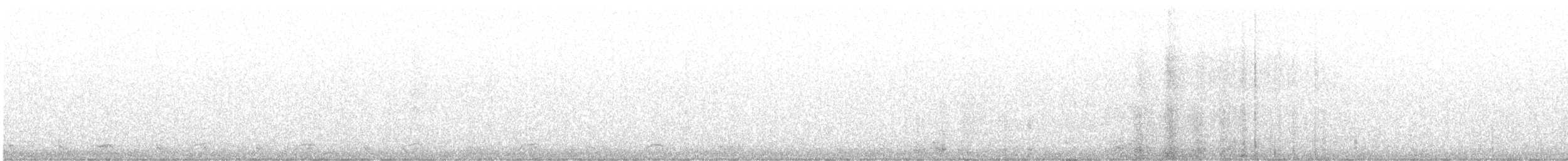 Ібіс білий - ML400014661