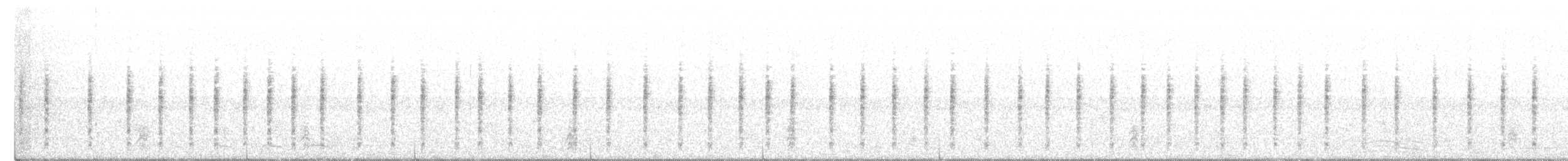 Taczanowskischwirl - ML400036611